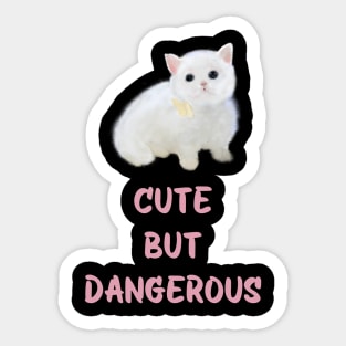 Cute but dangerous cat Sticker